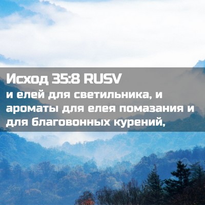 Picture 02 - Исход 35:8 RUSV - и елей для светильника, и - Bible Verse Picture