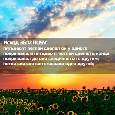Picture 02 - Исход 36:12 RUSV - пятьдесят петлей сделал он - Bible Verse Picture