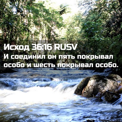 Picture 02 - Исход 36:16 RUSV - И соединил он пять - Bible Verse Picture
