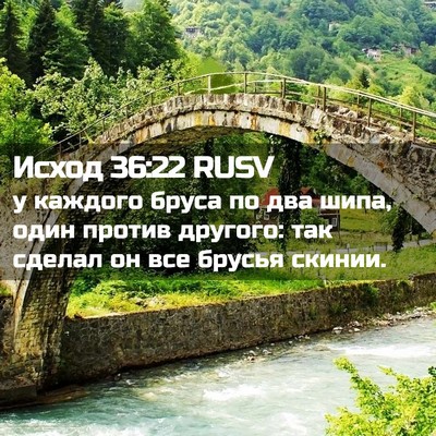 Picture 02 - Исход 36:22 RUSV - у каждого бруса по два - Bible Verse Picture