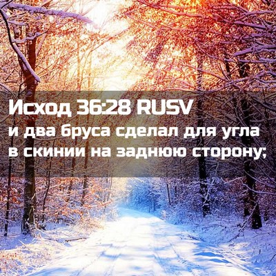 Picture 02 - Исход 36:28 RUSV - и два бруса сделал для угла - Bible Verse Picture