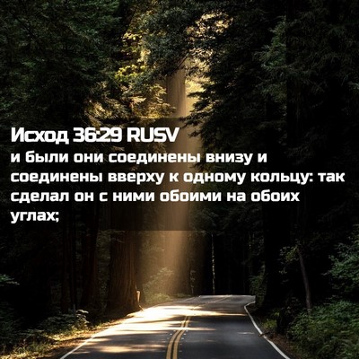 Picture 02 - Исход 36:29 RUSV - и были они соединены внизу - Bible Verse Picture
