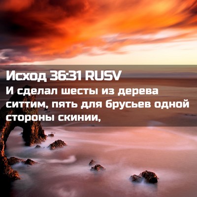 Picture 02 - Исход 36:31 RUSV - И сделал шесты из дерева - Bible Verse Picture