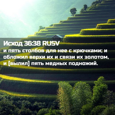 Picture 02 - Исход 36:38 RUSV - и пять столбов для нее с - Bible Verse Picture