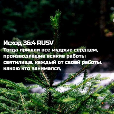 Picture 02 - Исход 36:4 RUSV - Тогда пришли все мудрые - Bible Verse Picture