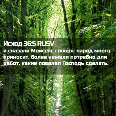 Picture 02 - Исход 36:5 RUSV - и сказали Моисею, говоря: - Bible Verse Picture