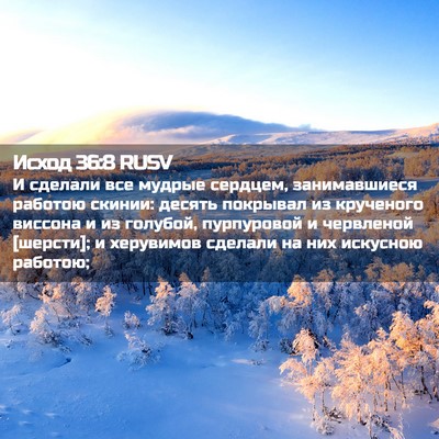 Picture 02 - Исход 36:8 RUSV - И сделали все мудрые - Bible Verse Picture