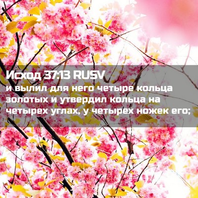 Picture 02 - Исход 37:13 RUSV - и вылил для него четыре - Bible Verse Picture