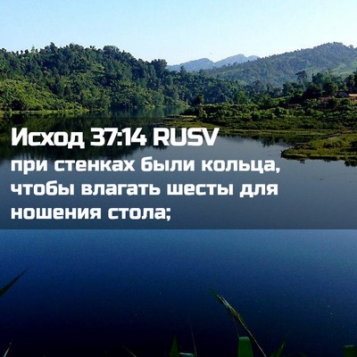 Picture 02 - Исход 37:14 RUSV - при стенках были кольца, - Bible Verse Picture