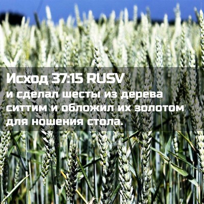 Picture 02 - Исход 37:15 RUSV - и сделал шесты из дерева - Bible Verse Picture