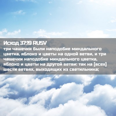 Picture 02 - Исход 37:19 RUSV - три чашечки были наподобие - Bible Verse Picture