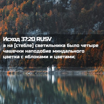 Picture 02 - Исход 37:20 RUSV - а на [стебле] светильника - Bible Verse Picture