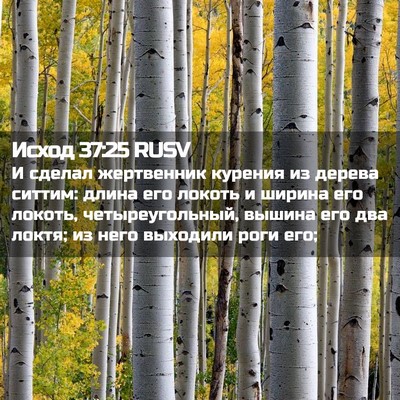 Picture 02 - Исход 37:25 RUSV - И сделал жертвенник - Bible Verse Picture