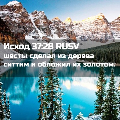 Picture 02 - Исход 37:28 RUSV - шесты сделал из дерева - Bible Verse Picture