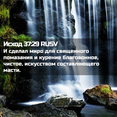 Picture 02 - Исход 37:29 RUSV - И сделал миро для - Bible Verse Picture