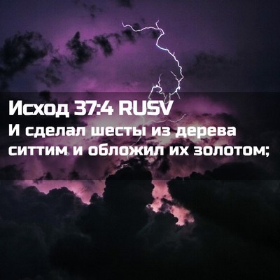 Picture 02 - Исход 37:4 RUSV - И сделал шесты из дерева - Bible Verse Picture