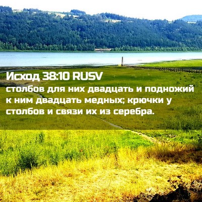 Picture 02 - Исход 38:10 RUSV - столбов для них двадцать и - Bible Verse Picture