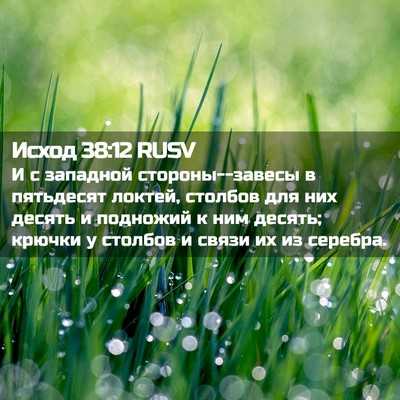 Picture 02 - Исход 38:12 RUSV - И с западной - Bible Verse Picture