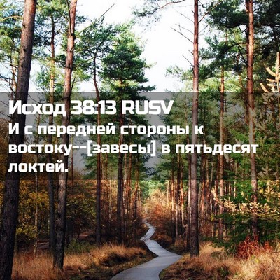 Picture 02 - Исход 38:13 RUSV - И с передней стороны к - Bible Verse Picture