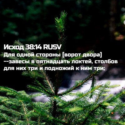 Picture 02 - Исход 38:14 RUSV - Для одной стороны [ворот - Bible Verse Picture