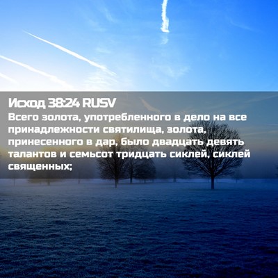 Picture 02 - Исход 38:24 RUSV - Всего золота, - Bible Verse Picture
