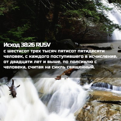 Picture 02 - Исход 38:26 RUSV - с шестисот трех тысяч - Bible Verse Picture