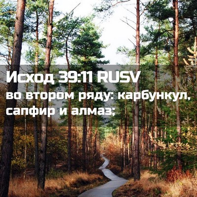 Picture 02 - Исход 39:11 RUSV - во втором ряду: карбункул, - Bible Verse Picture