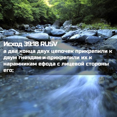 Picture 02 - Исход 39:18 RUSV - а два конца двух цепочек - Bible Verse Picture