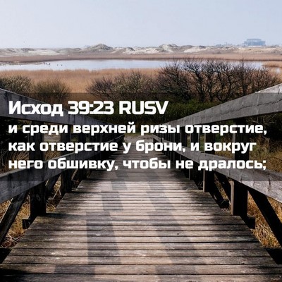 Picture 02 - Исход 39:23 RUSV - и среди верхней ризы - Bible Verse Picture