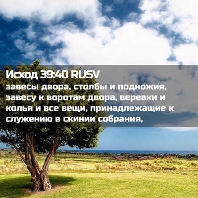 Picture 02 - Исход 39:40 RUSV - завесы двора, столбы и - Bible Verse Picture