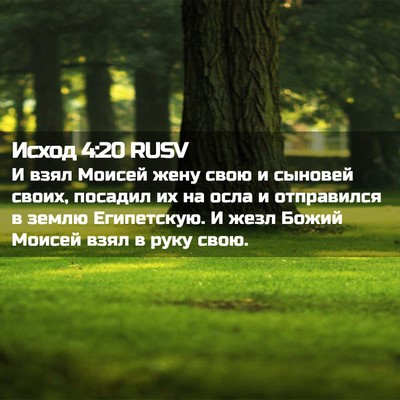 Picture 02 - Исход 4:20 RUSV - И взял Моисей жену свою и - Bible Verse Picture