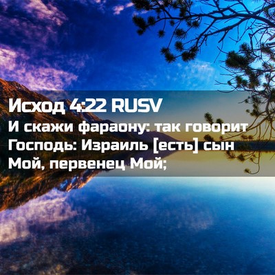 Picture 02 - Исход 4:22 RUSV - И скажи фараону: так - Bible Verse Picture