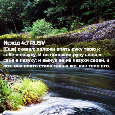Picture 02 - Исход 4:7 RUSV - [Еще] сказал: положи опять - Bible Verse Picture