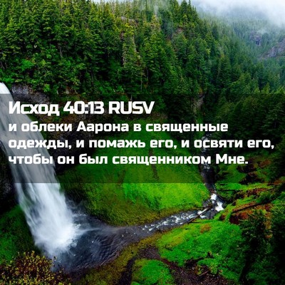 Picture 02 - Исход 40:13 RUSV - и облеки Аарона в - Bible Verse Picture