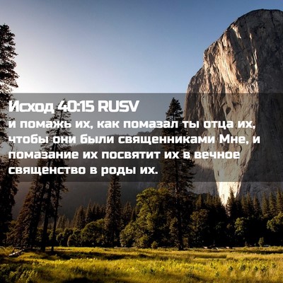 Picture 02 - Исход 40:15 RUSV - и помажь их, как помазал ты - Bible Verse Picture