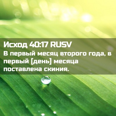 Picture 02 - Исход 40:17 RUSV - В первый месяц второго - Bible Verse Picture
