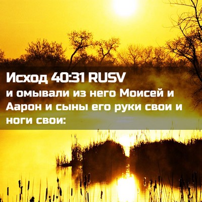 Picture 02 - Исход 40:31 RUSV - и омывали из него Моисей и - Bible Verse Picture
