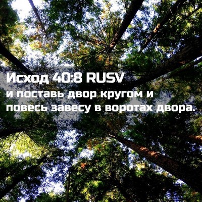 Picture 02 - Исход 40:8 RUSV - и поставь двор кругом и - Bible Verse Picture