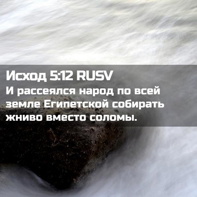 Picture 02 - Исход 5:12 RUSV - И рассеялся народ по всей - Bible Verse Picture