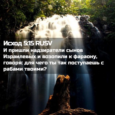 Picture 02 - Исход 5:15 RUSV - И пришли надзиратели сынов - Bible Verse Picture