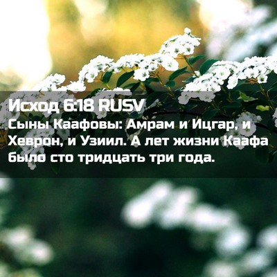 Picture 02 - Исход 6:18 RUSV - Сыны Каафовы: Амрам и - Bible Verse Picture