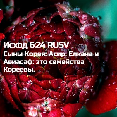 Picture 02 - Исход 6:24 RUSV - Сыны Корея: Асир, Елкана и - Bible Verse Picture