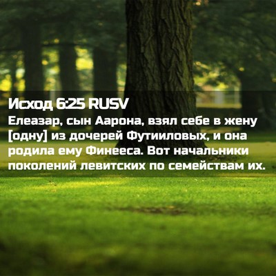 Picture 02 - Исход 6:25 RUSV - Елеазар, сын Аарона, взял - Bible Verse Picture