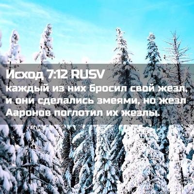 Picture 02 - Исход 7:12 RUSV - каждый из них бросил свой - Bible Verse Picture