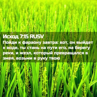Picture 02 - Исход 7:15 RUSV - Пойди к фараону завтра: - Bible Verse Picture