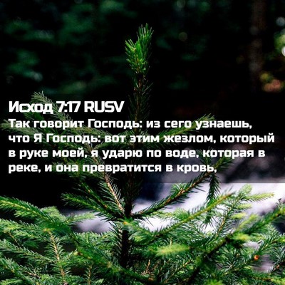 Picture 02 - Исход 7:17 RUSV - Так говорит Господь: из - Bible Verse Picture