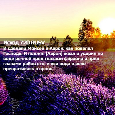 Picture 02 - Исход 7:20 RUSV - И сделали Моисей и Аарон, - Bible Verse Picture