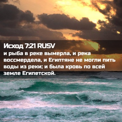 Picture 02 - Исход 7:21 RUSV - и рыба в реке вымерла, и - Bible Verse Picture