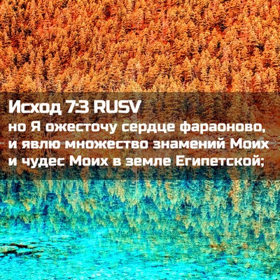 Picture 02 - Исход 7:3 RUSV - но Я ожесточу сердце - Bible Verse Picture
