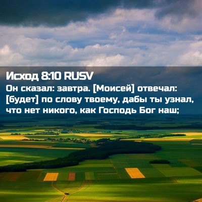 Picture 02 - Исход 8:10 RUSV - Он сказал: завтра. [Моисей] - Bible Verse Picture
